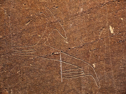 1998 | Gravuras de Foz Côa são Património da Unesco